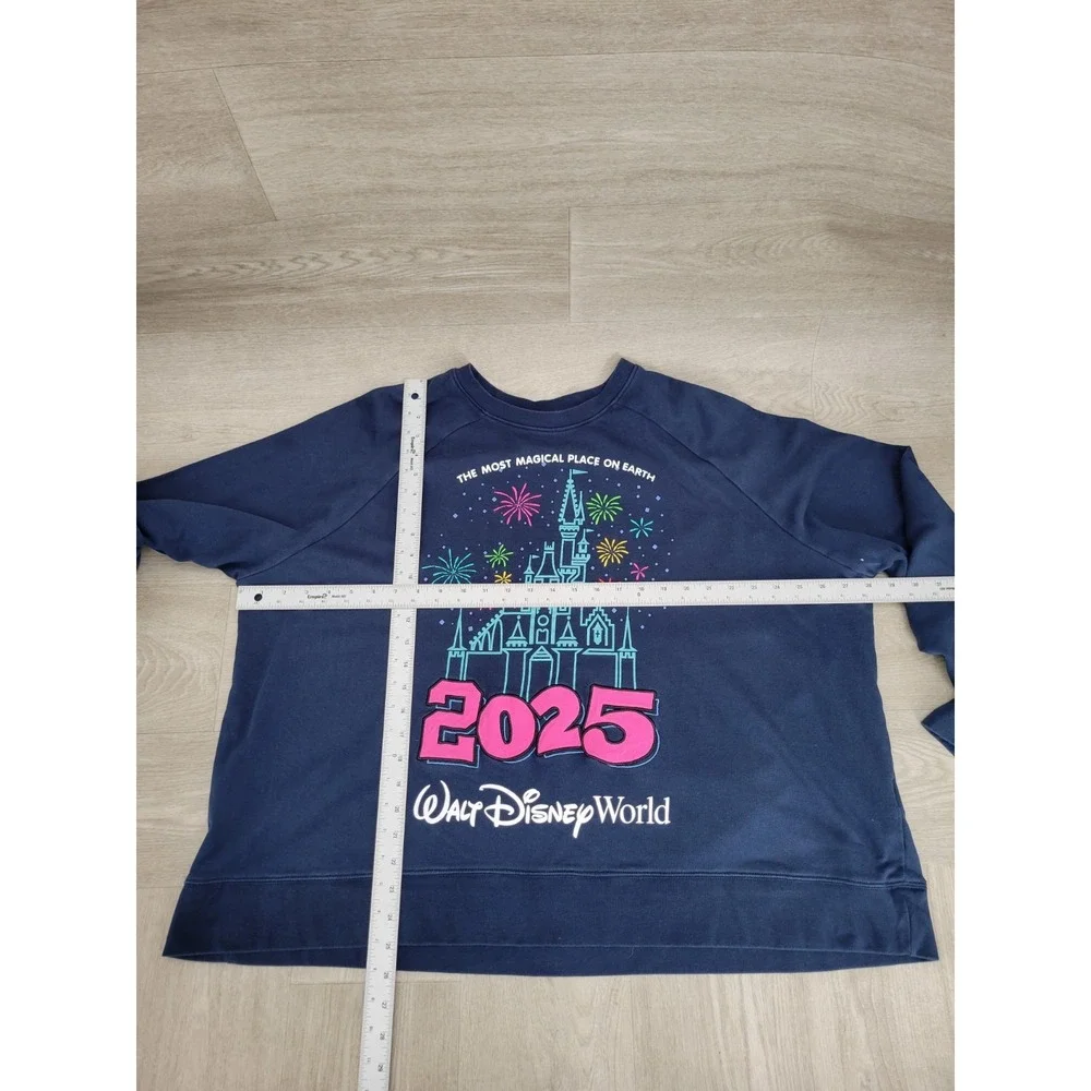 2025 Disneyland Sweatshirt Women's 3X Cinderella Castle Fireworks Mickey Disney